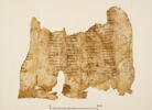 parchemin ; fragment, image 2/2