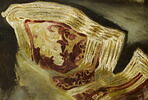 Étude d’après un des Caprices de Goya,
deux plats de reliures médiévales
et une veste orientale, image 2/4