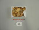 applique ; feuille ; fragment, image 1/2