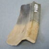 coquemar, fragment, image 1/2