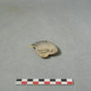 vase, récipient, fragment, image 1/2