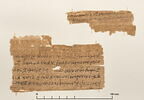 papyrus documentaire, image 2/2