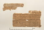 papyrus documentaire, image 1/2