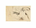 Etude de deux paons, d’un cygne et d’un cheval, image 1/3