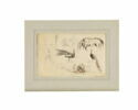 Etude de deux paons, d’un cygne et d’un cheval, image 2/3
