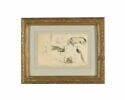 Etude de deux paons, d’un cygne et d’un cheval, image 3/3
