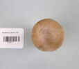 vase simulacre ; vase-henou, image 4/5