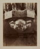 Substructions du Louvre : Fouilles de 1882-1883, image 1/2