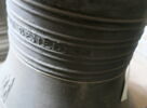 cloche, image 2/8
