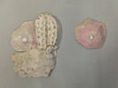 masque-plastron, image 1/2