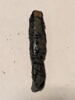 figurine de fils d'Horus, image 2/2
